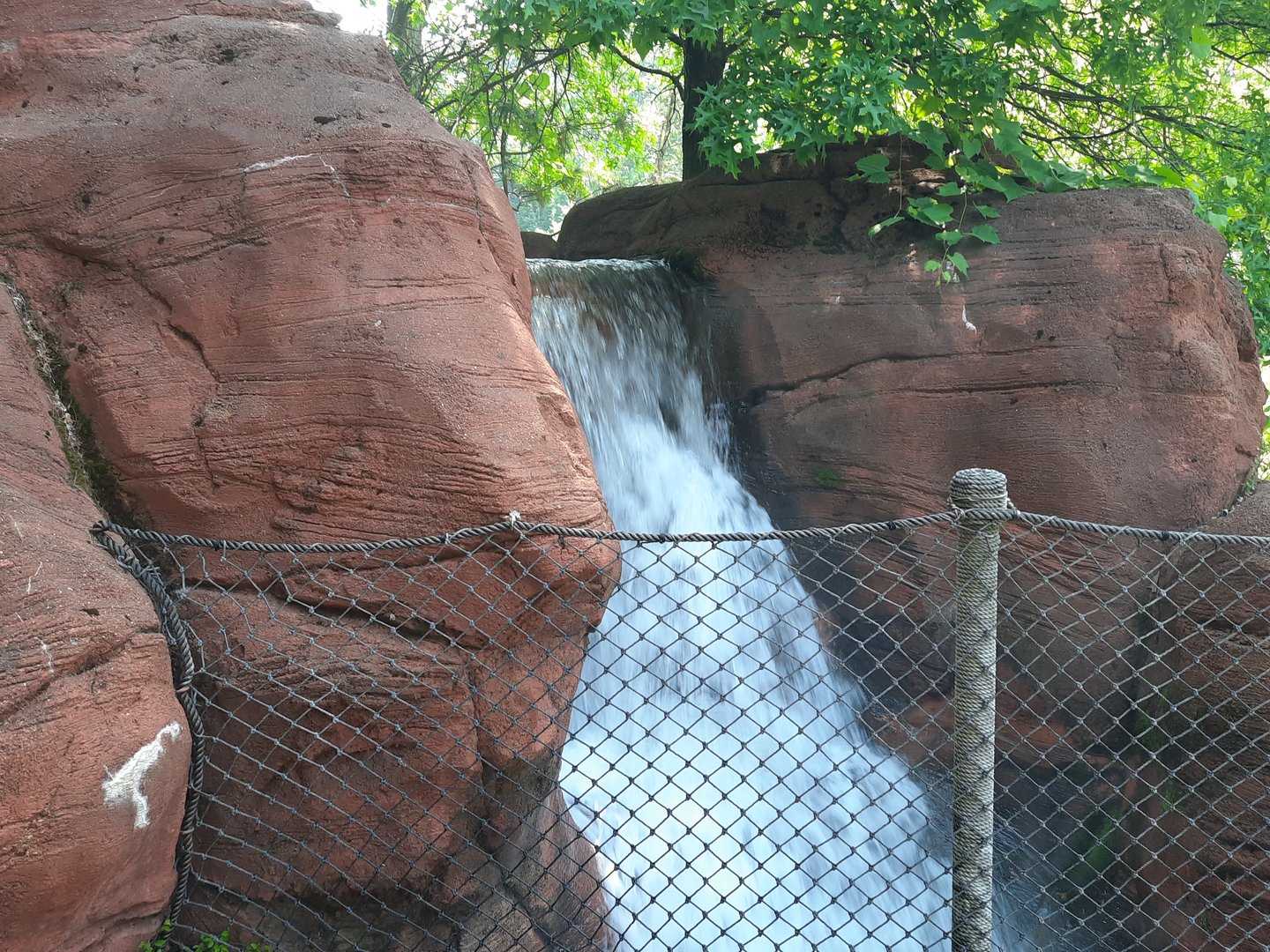 Yagga Tree- Waterfall