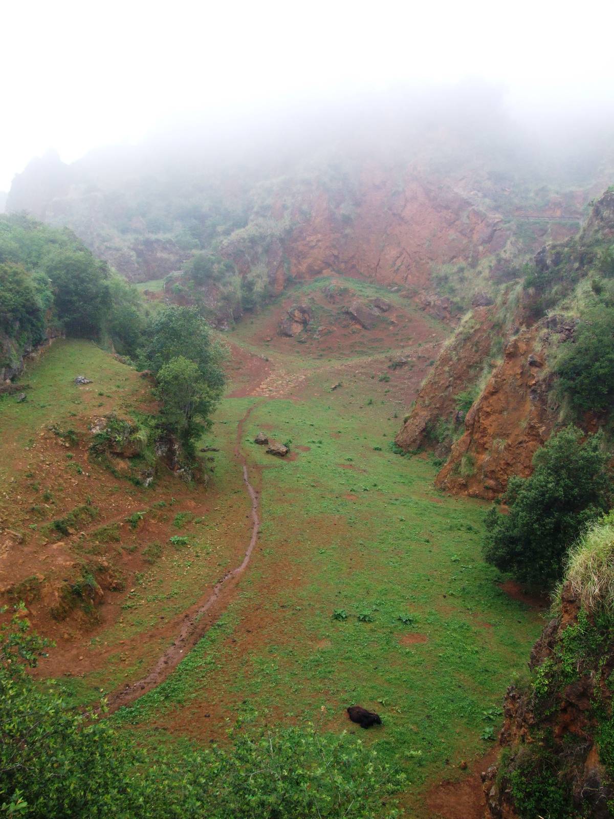 Yak Enclosure at Cabarceno, 11/06/15