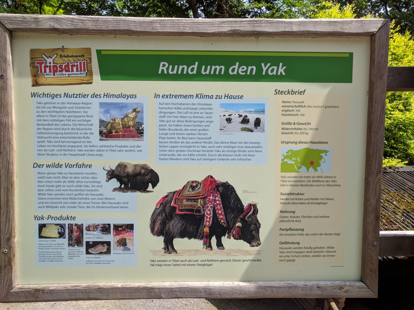 Yak Signage
