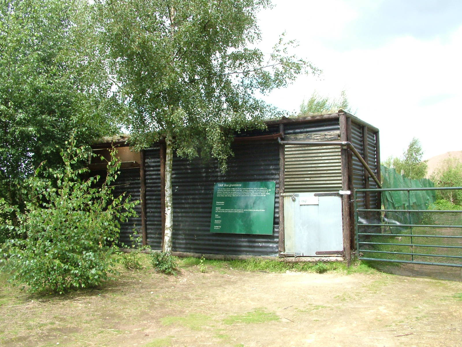 Yak stable at Wetlands WP 02/08/09