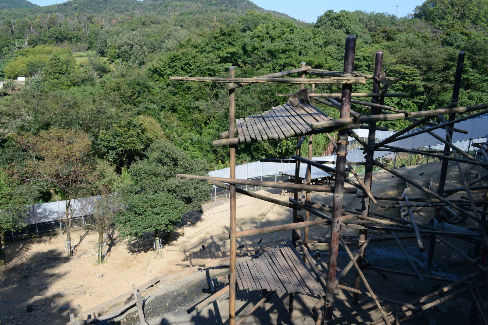 Yaku-Macaque exhibit