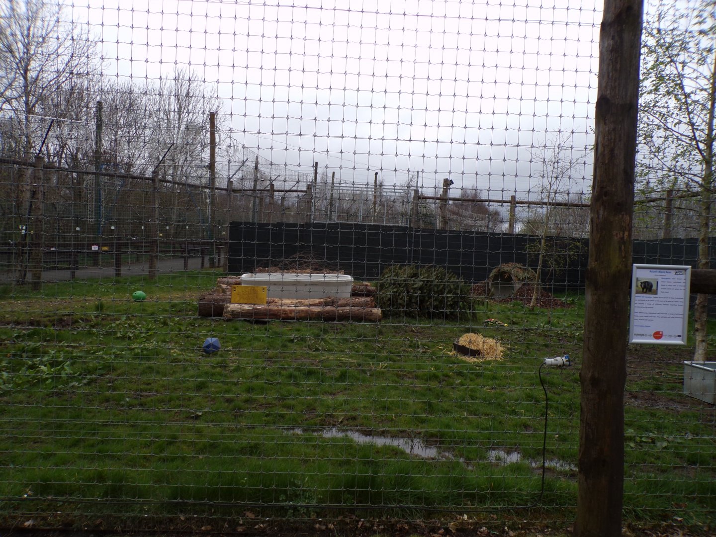 Yampil’s temporary enclosure 12.4.24