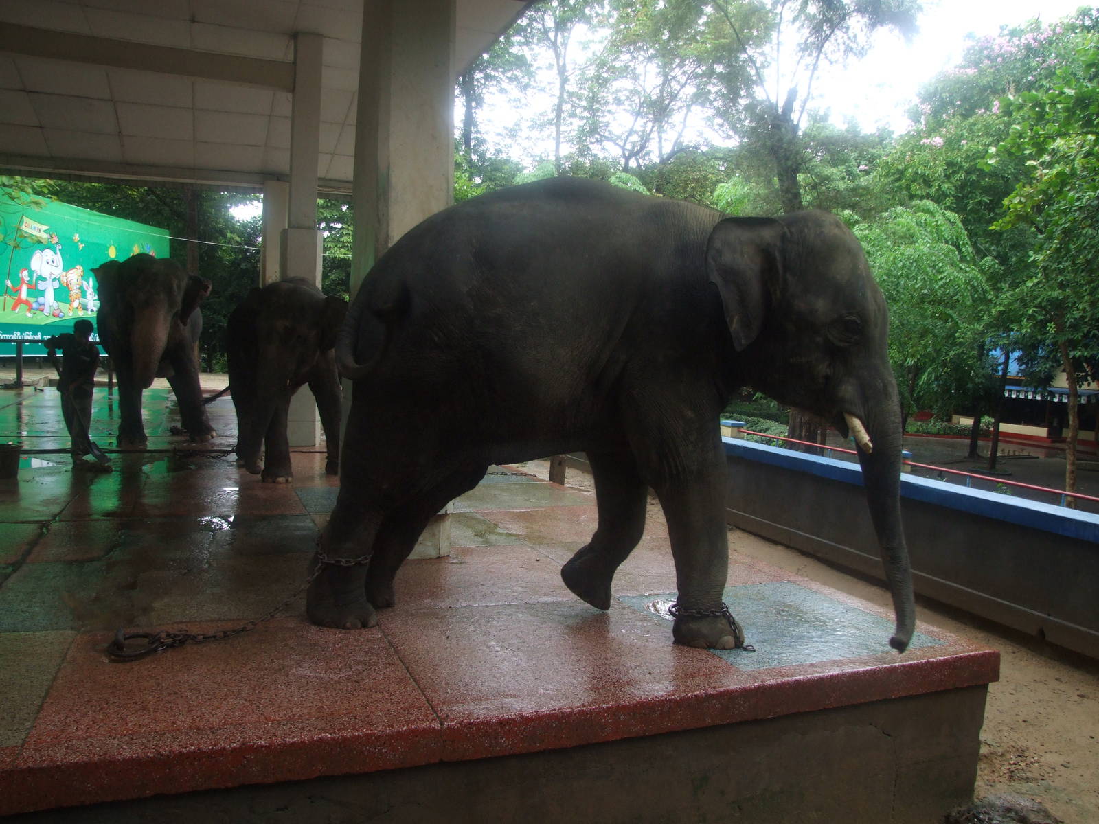Yangon Zoological Gardens