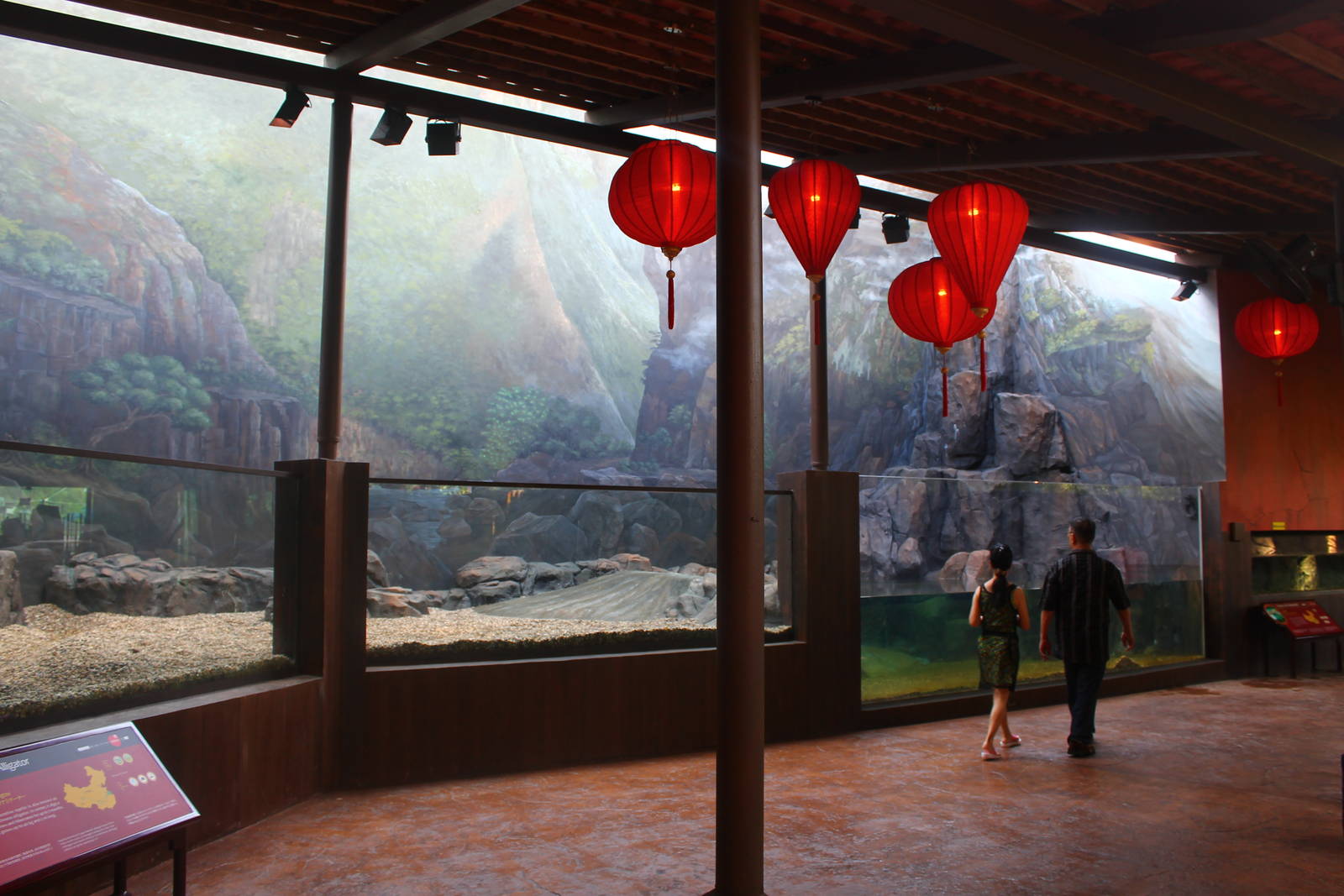 Yangtze River - Chinese Alligator exhibit