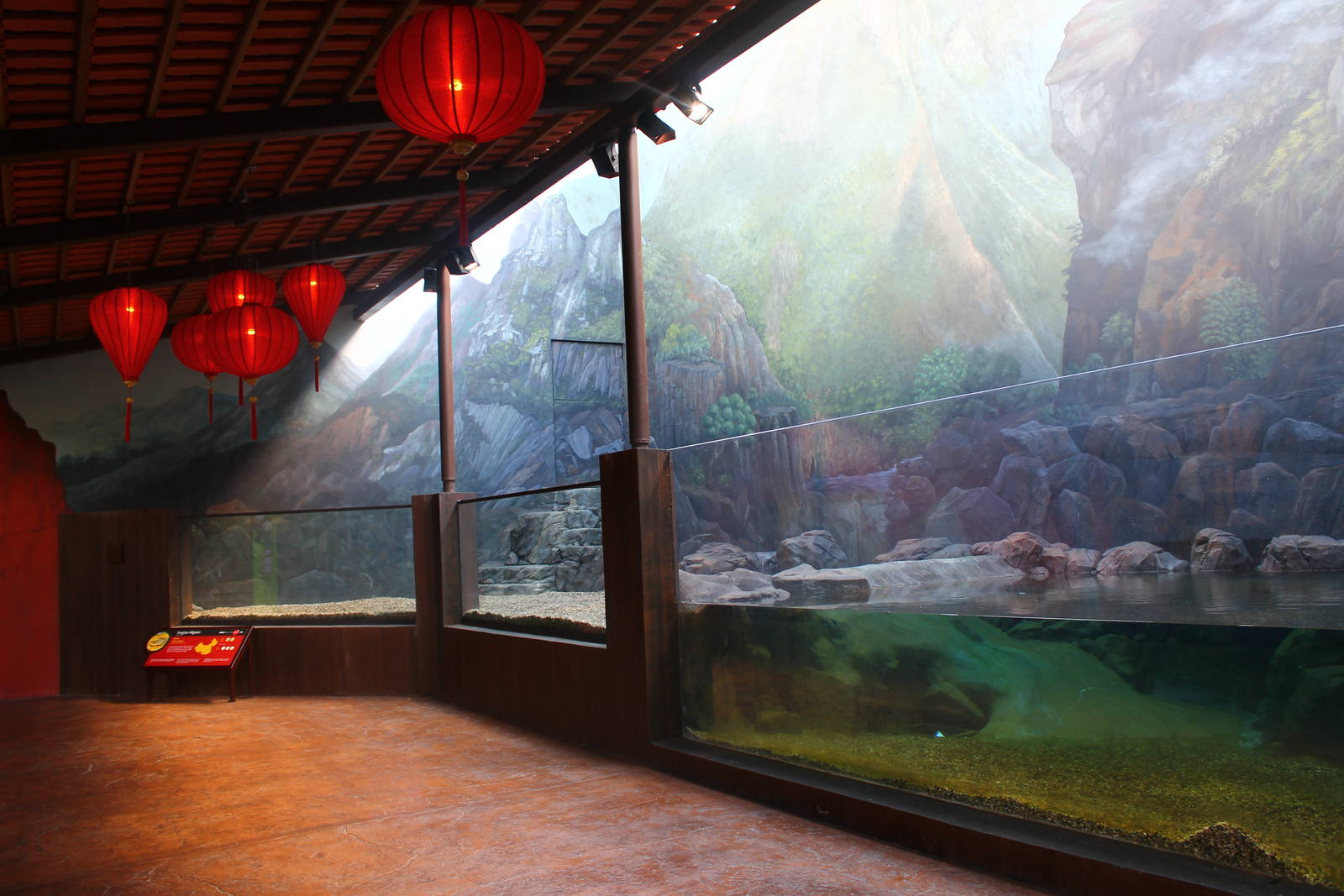 Yangtze River - Chinese Alligator exhibit