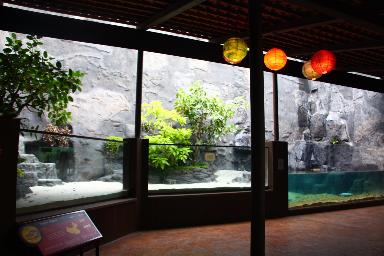 Yangtze River - Chinese Alligator exhibit