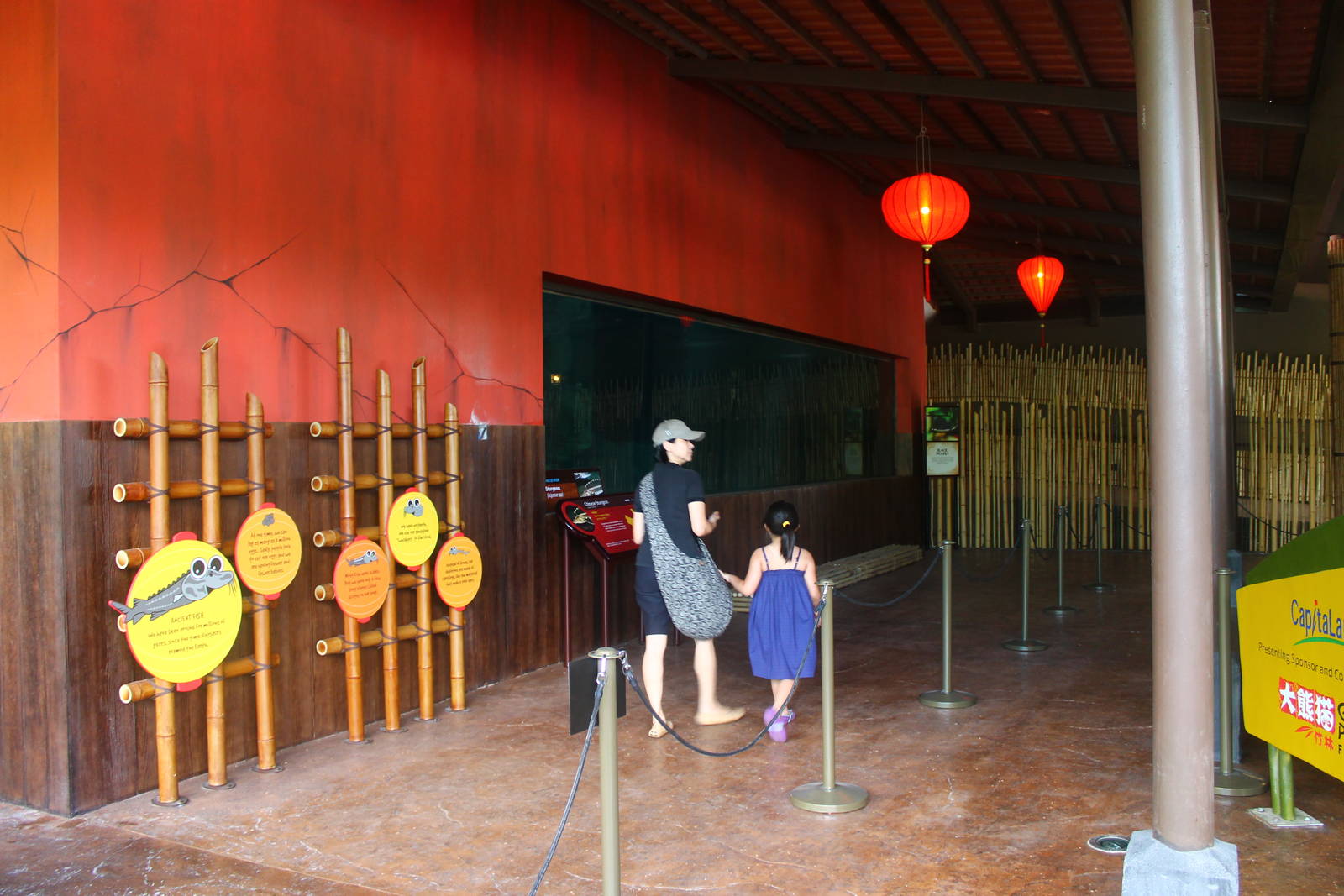 Yangtze River - Chinese Sturgeon exhibit