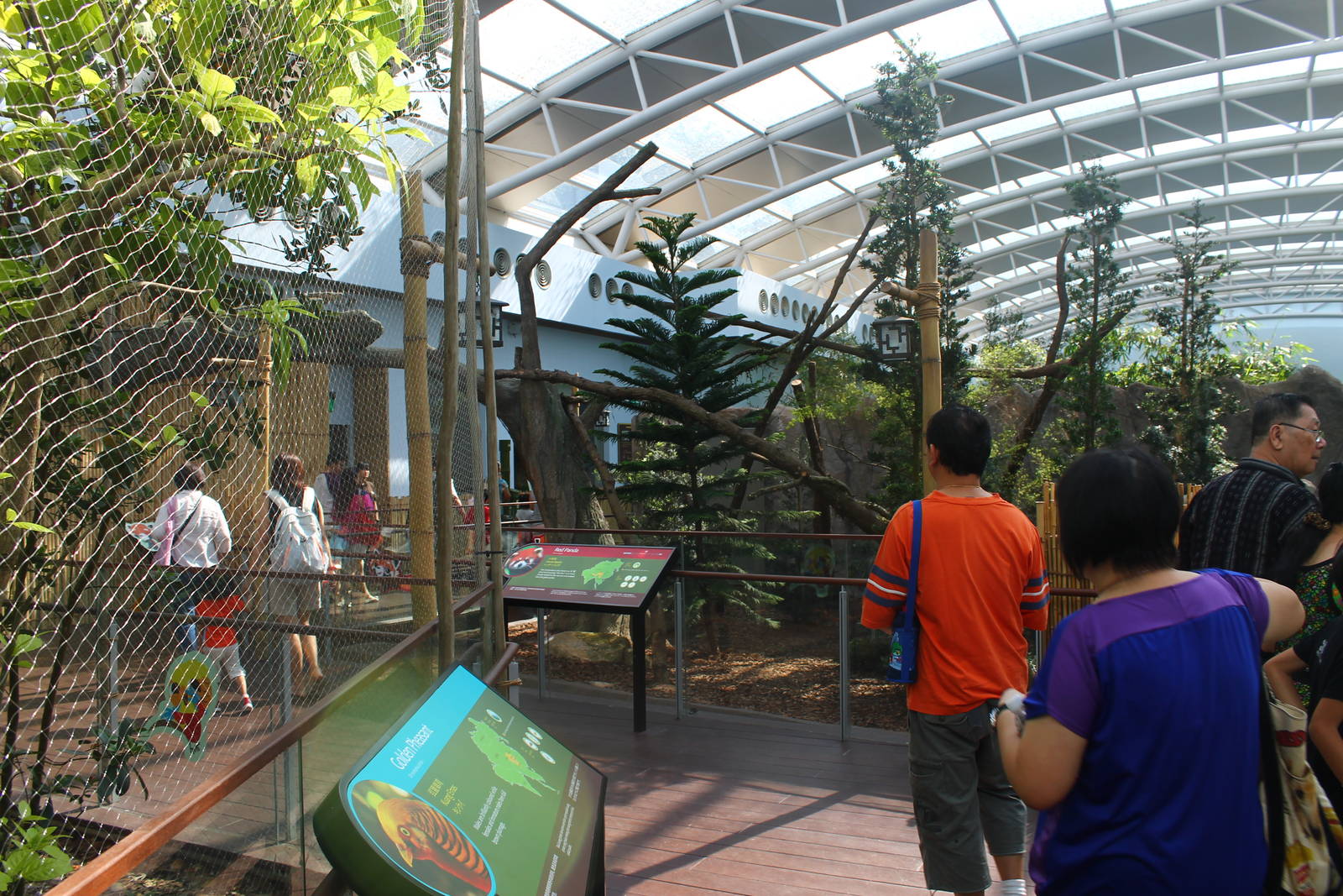 Yangtze River - Giant Panda Forest