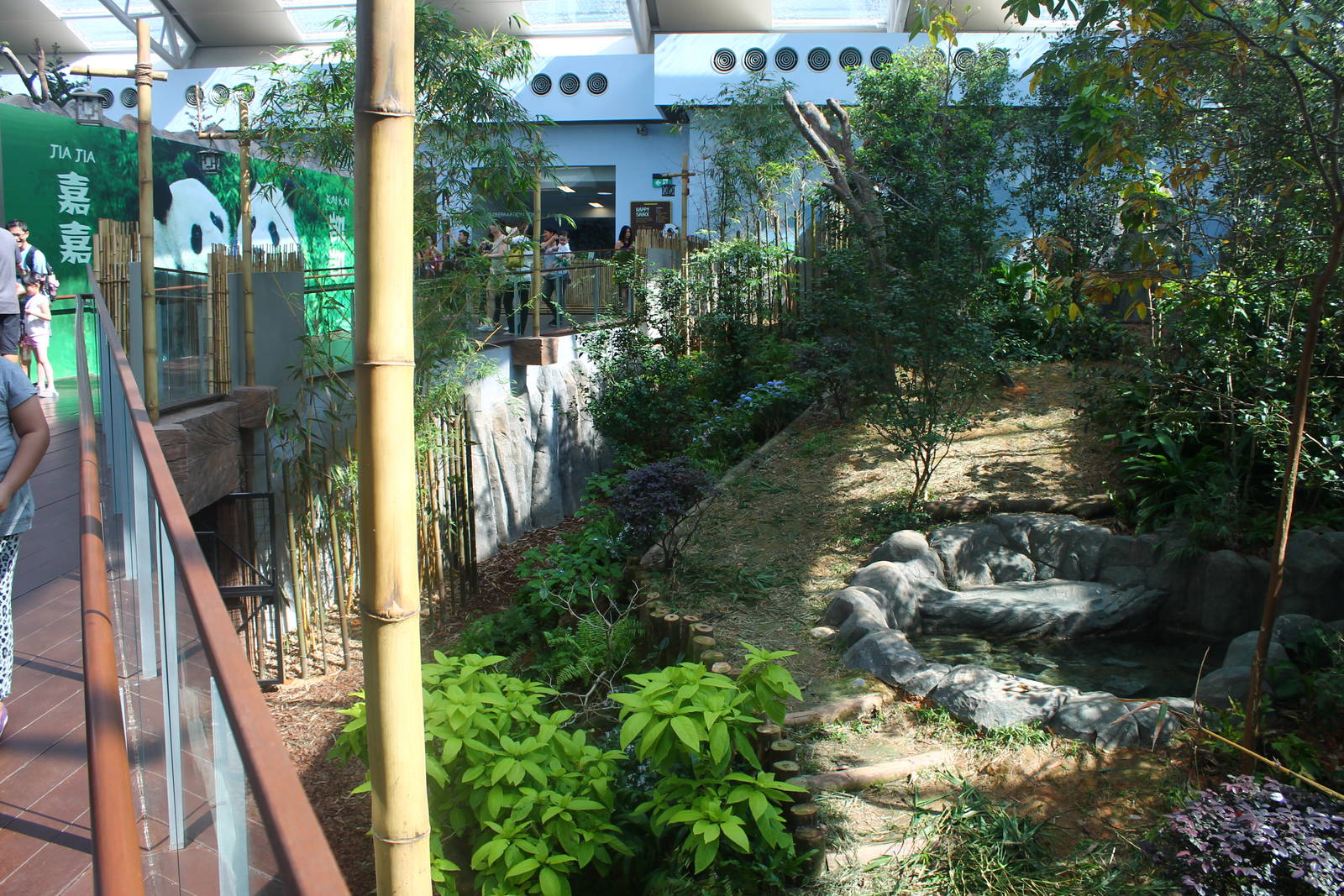 Yangtze River - Giant Panda Forest