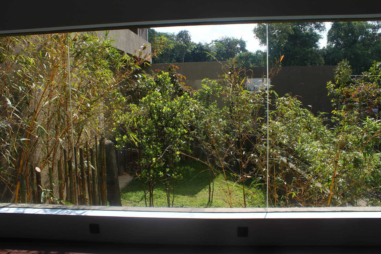 Yangtze River - Giant Panda Forest