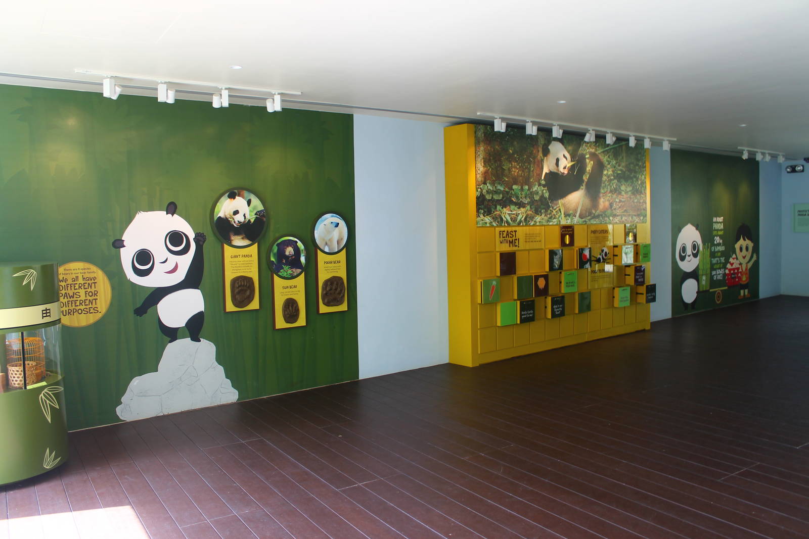 Yangtze River - Giant Panda Forest