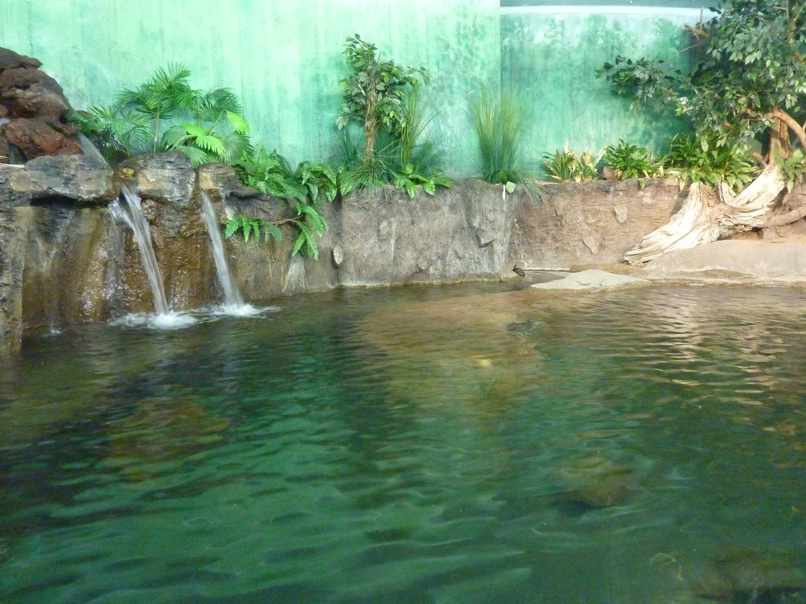 Yangtze River Tank