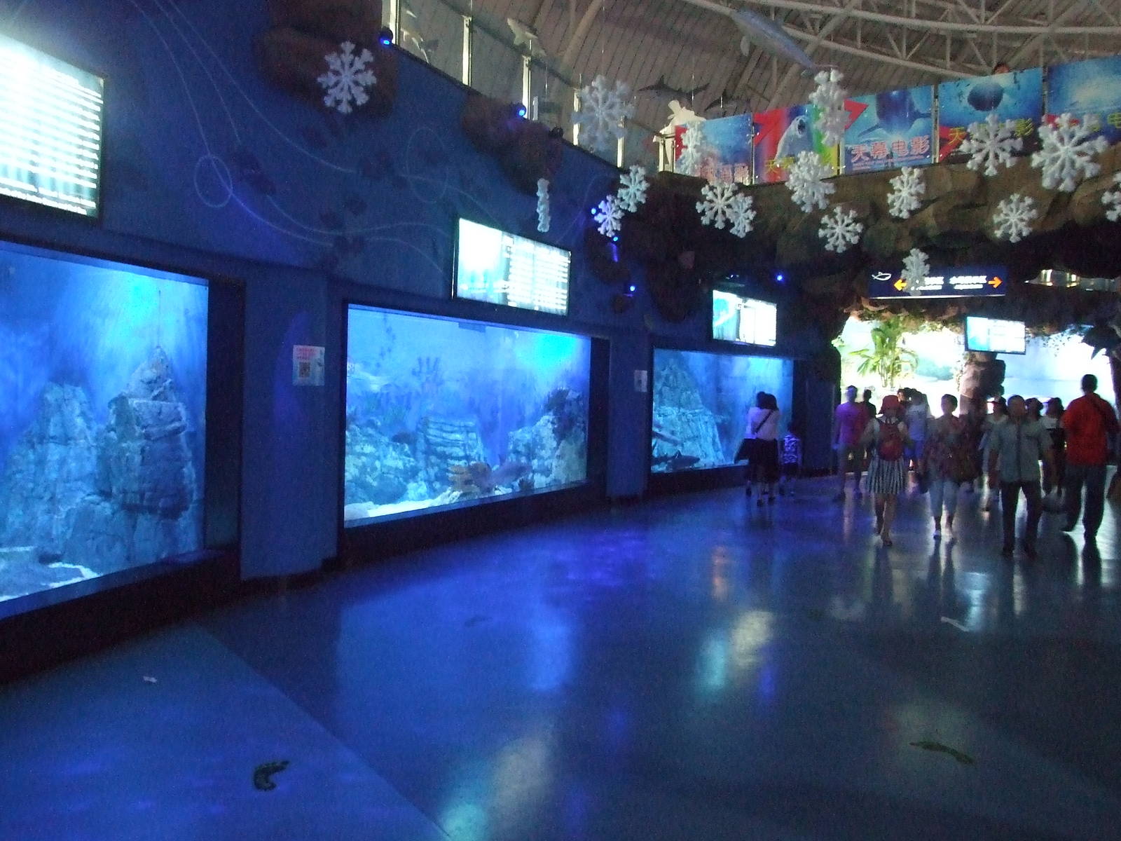 Yantai Haichang Whale Shark Aquarium