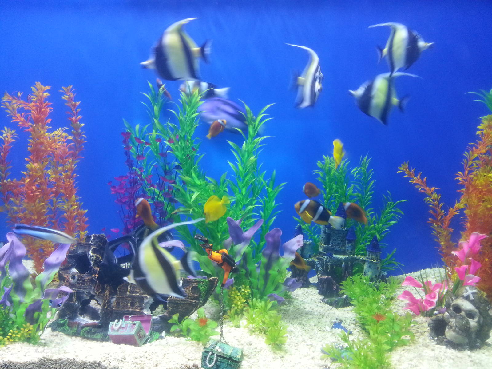 Yantai Whale Shark Aquarium