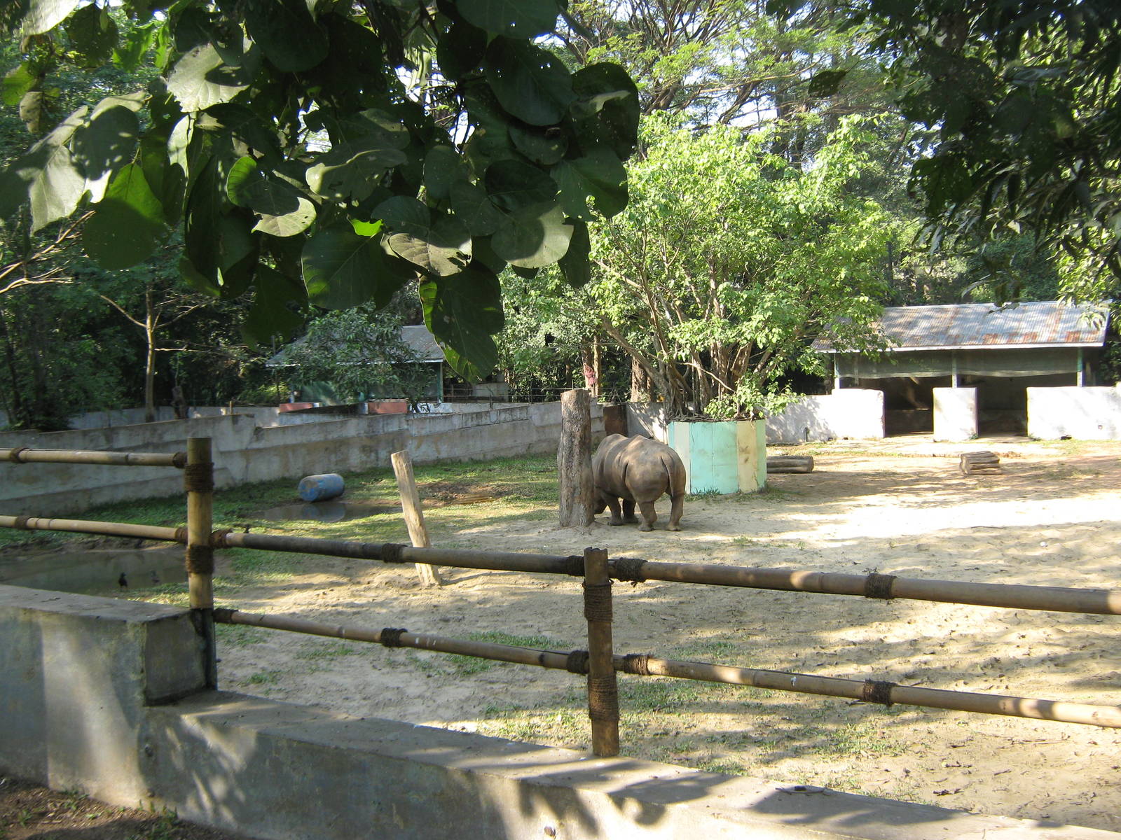 yard for White Rhino