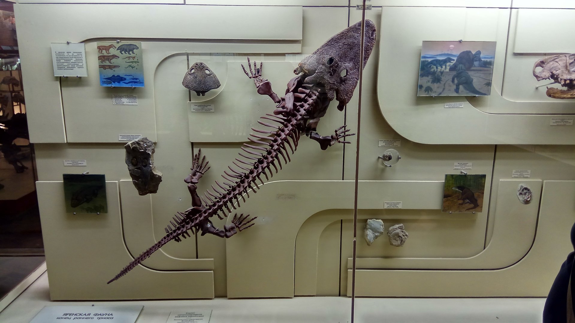 Yarenskian (Early Triassic, Upper Olenekian) fauna