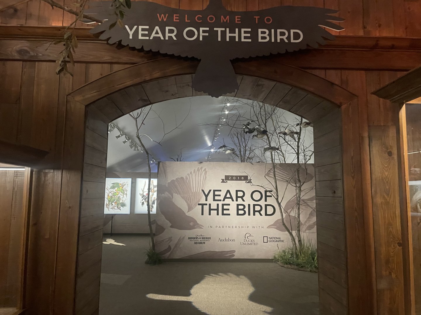 Year of the Bird Room