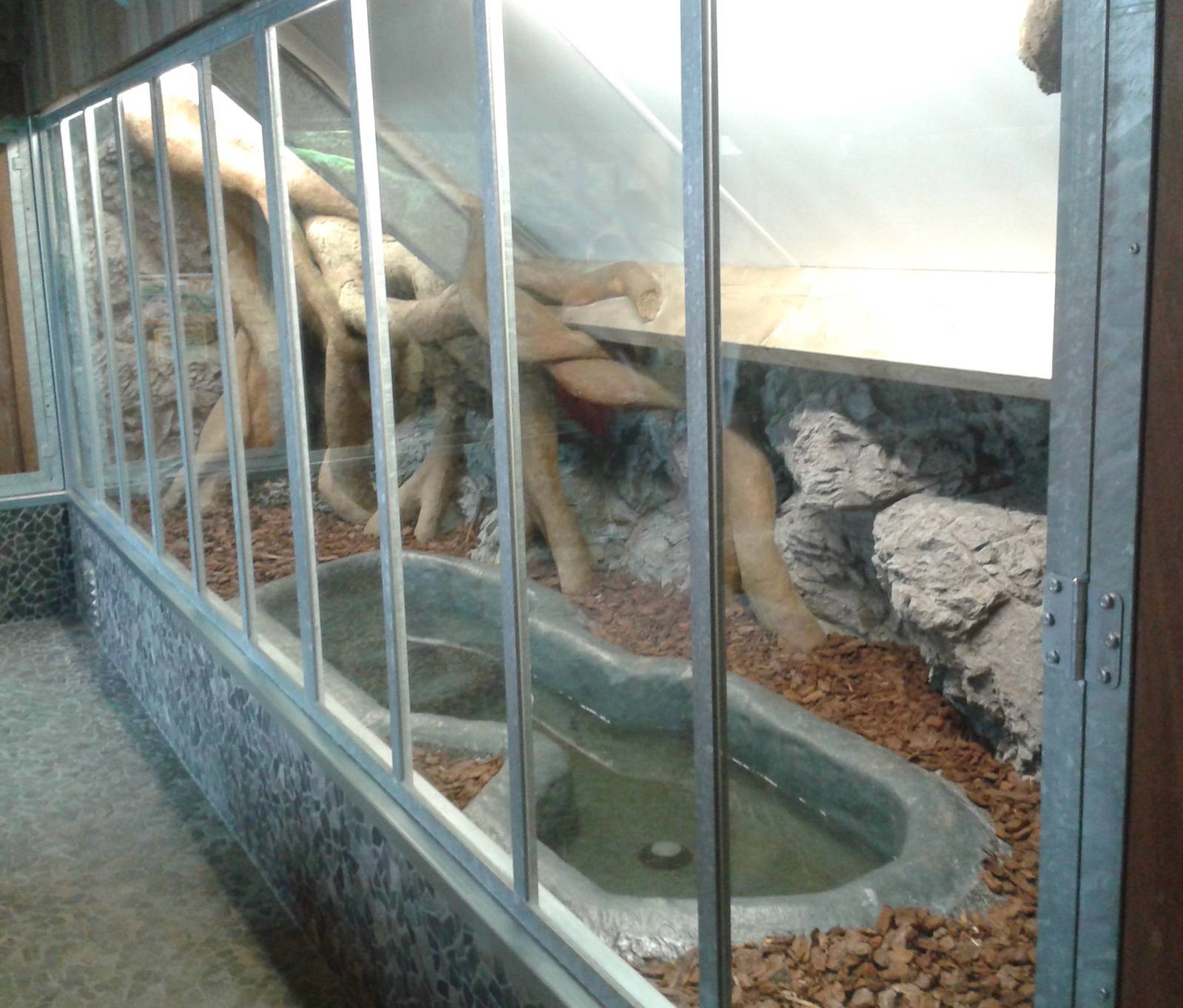 Yellow anaconda enclosure