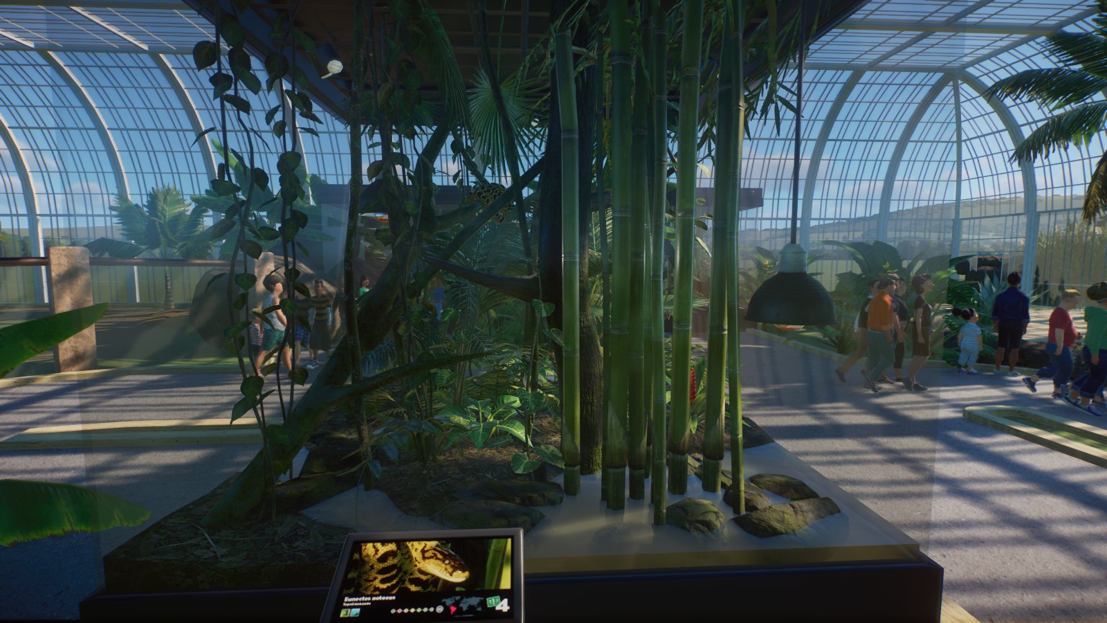 Yellow Anaconda Enclosure