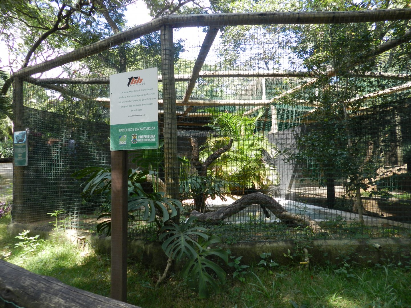 Yellow anaconda exhibit - Belo Horizonte zoo