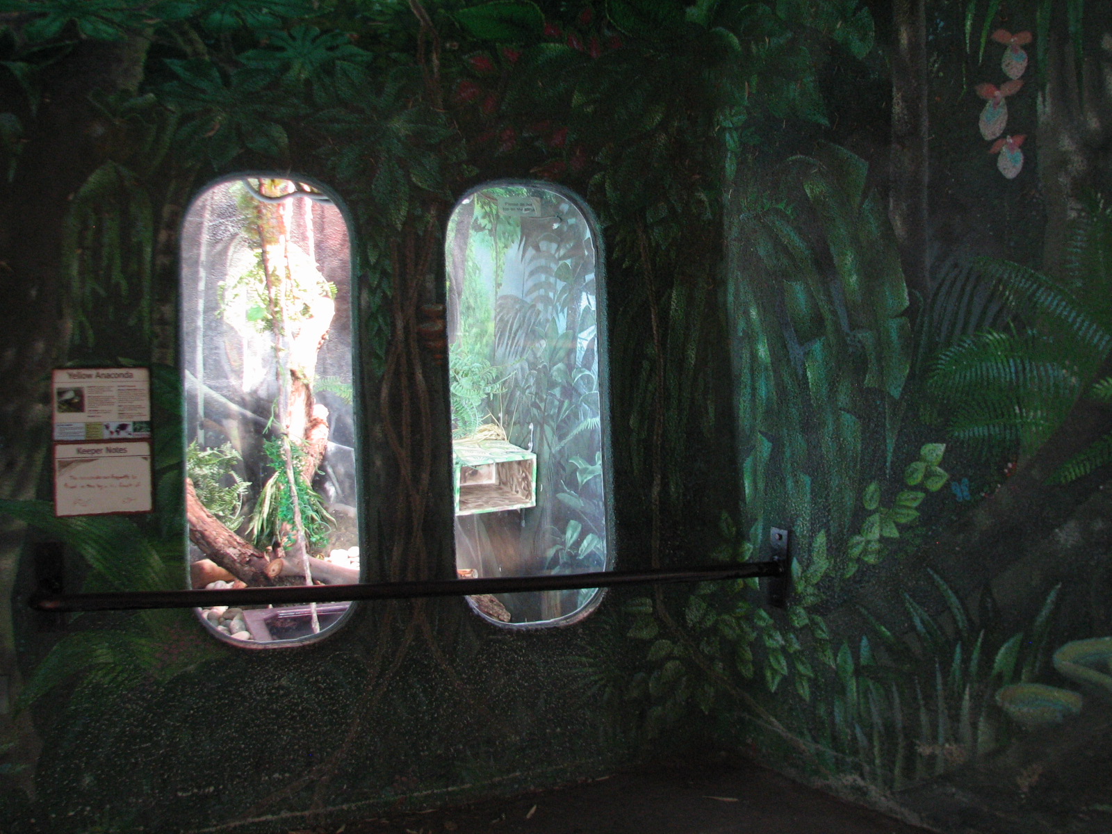 Yellow Anaconda Exhibit