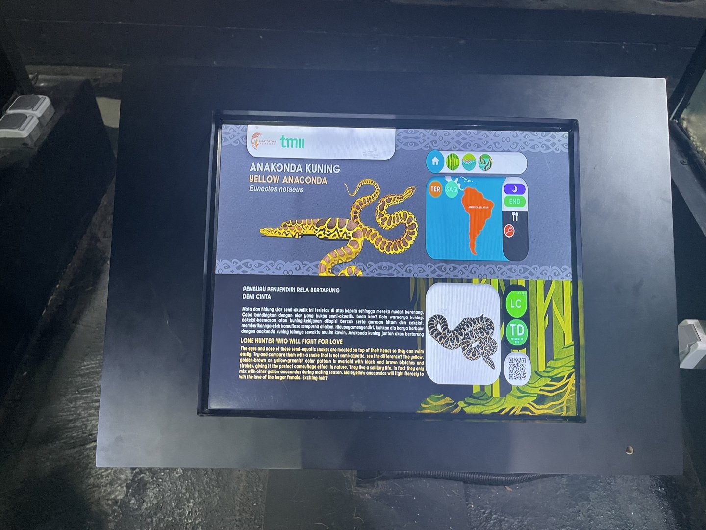 yellow anaconda signage - museum komodo
