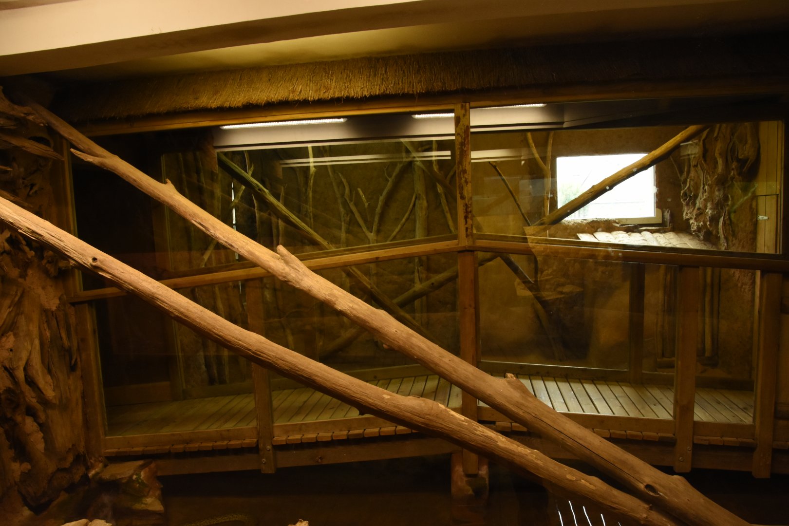 Yellow Anaconda "walkthrough"