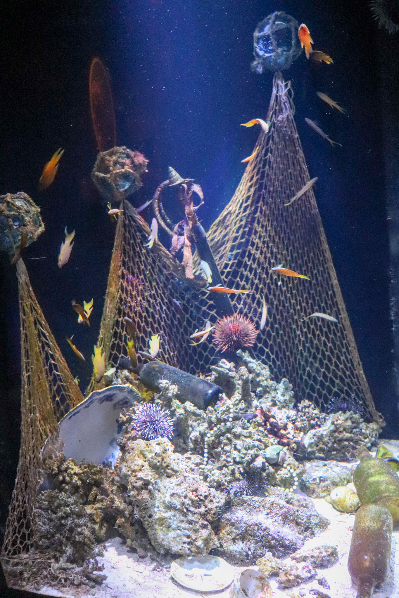 Yellow Assessor Tank - Coastal Wreck