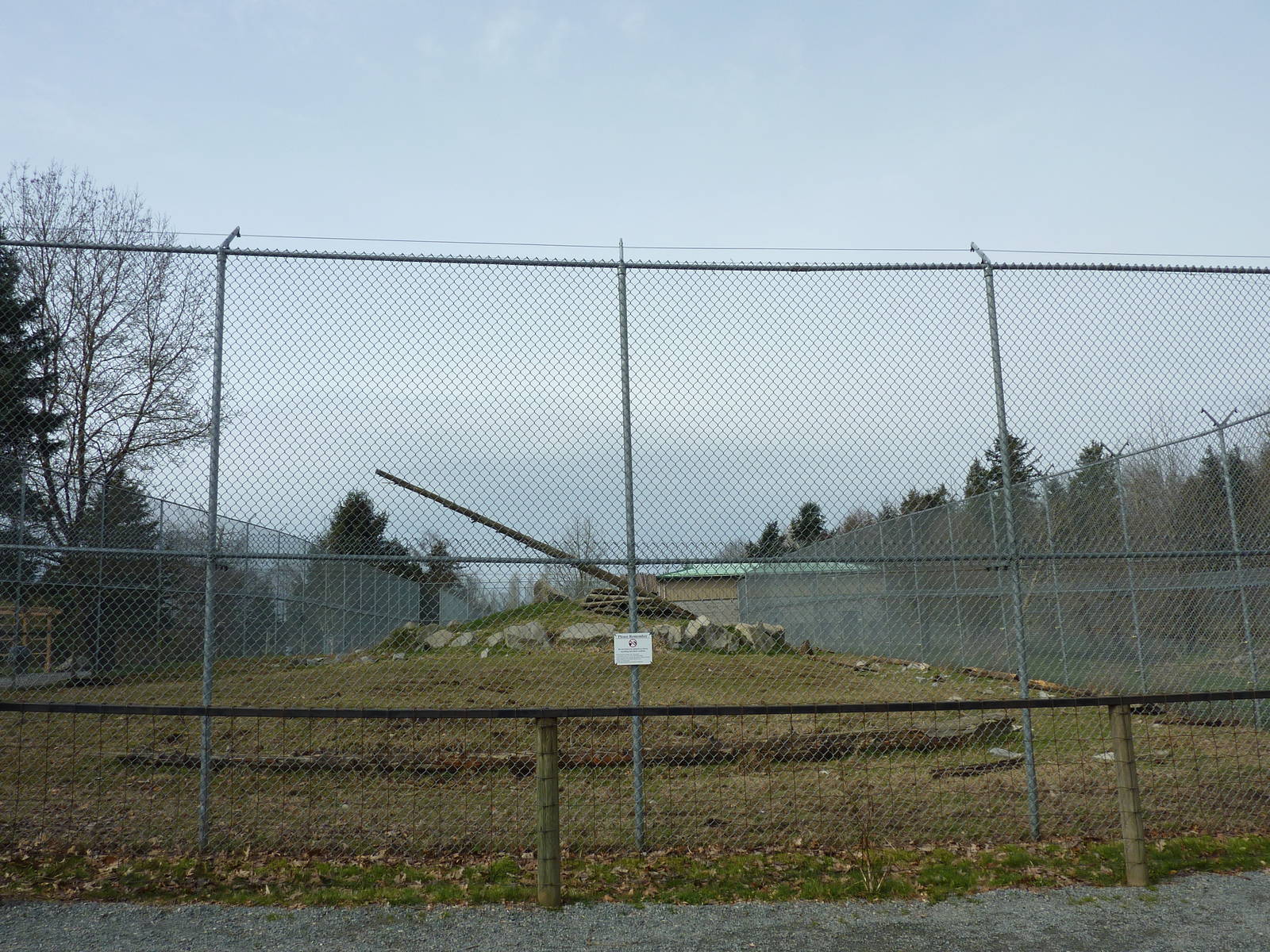 Yellow Baboon Enclosure