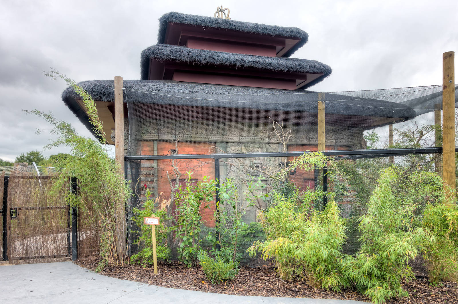 Yellow-Backed Chattering Lory Aviary