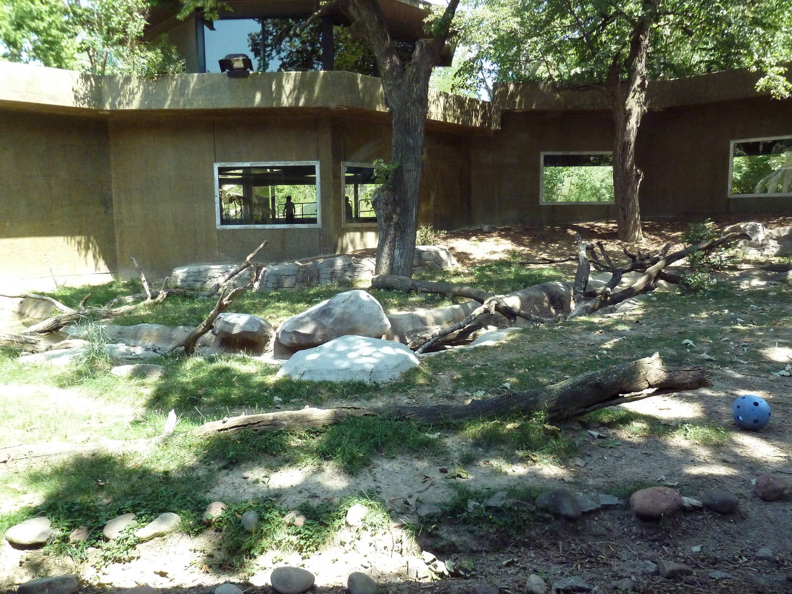 Yellow-Backed Duiker/Abyssinian Ground Hornbill/Crowned Crane Exhibit