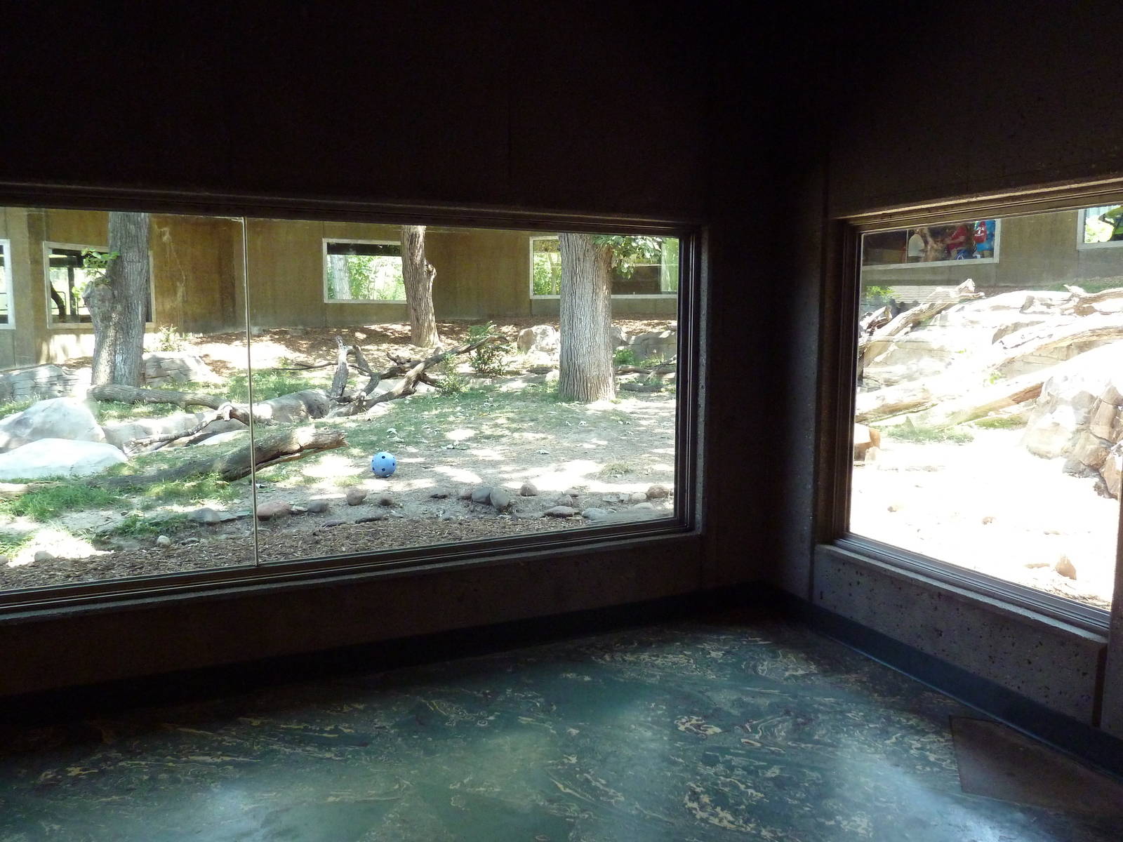 Yellow-Backed Duiker/Abyssinian Ground Hornbill/Crowned Crane Exhibit