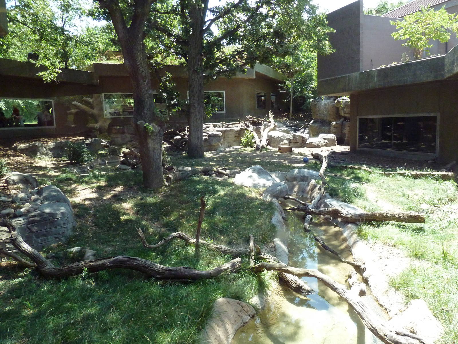 Yellow-Backed Duiker/Abyssinian Ground Hornbill/Crowned Crane Exhibit