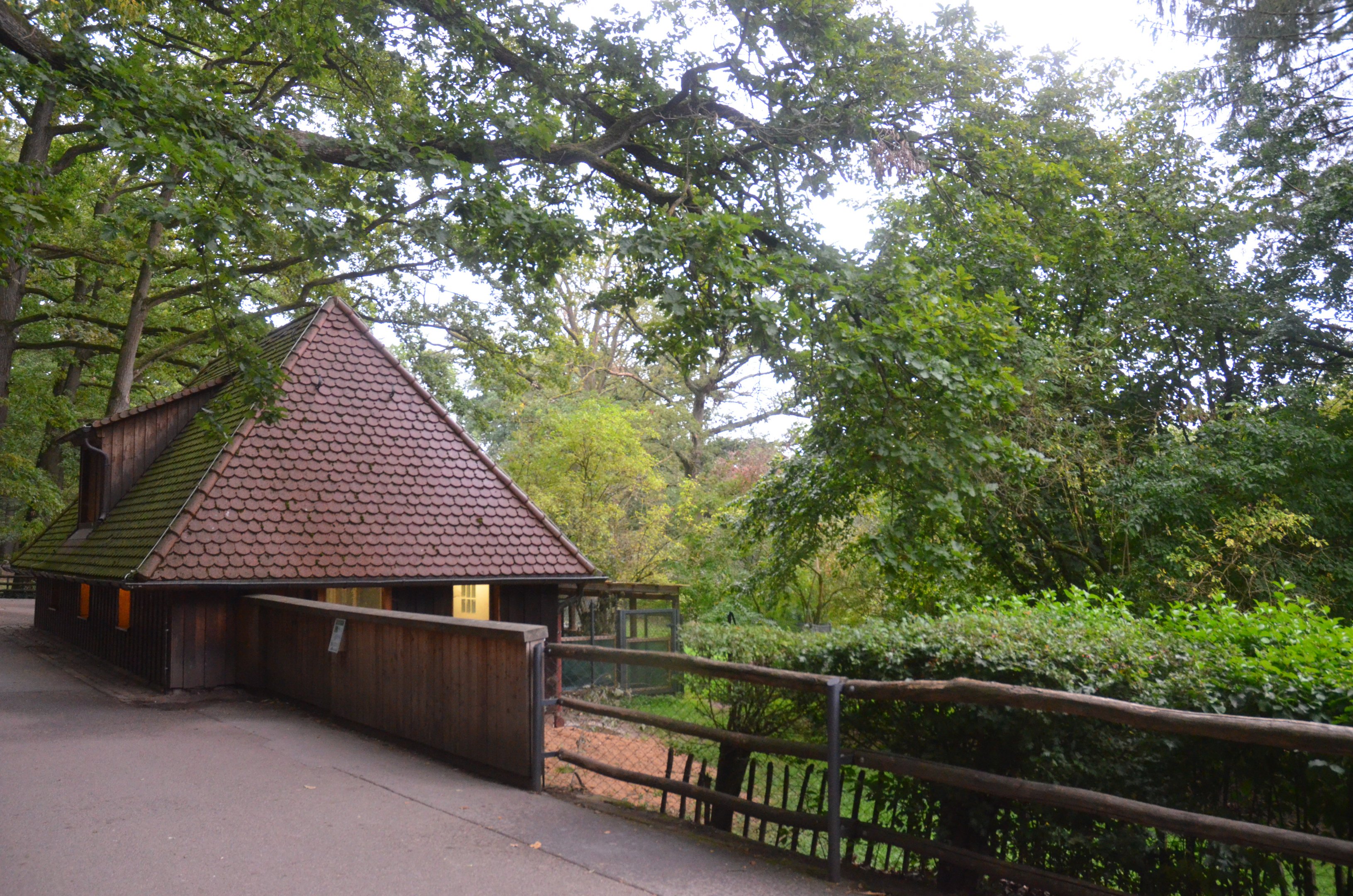 Yellow-backed Duiker Enclosure at Nuremberg, 08/09/19