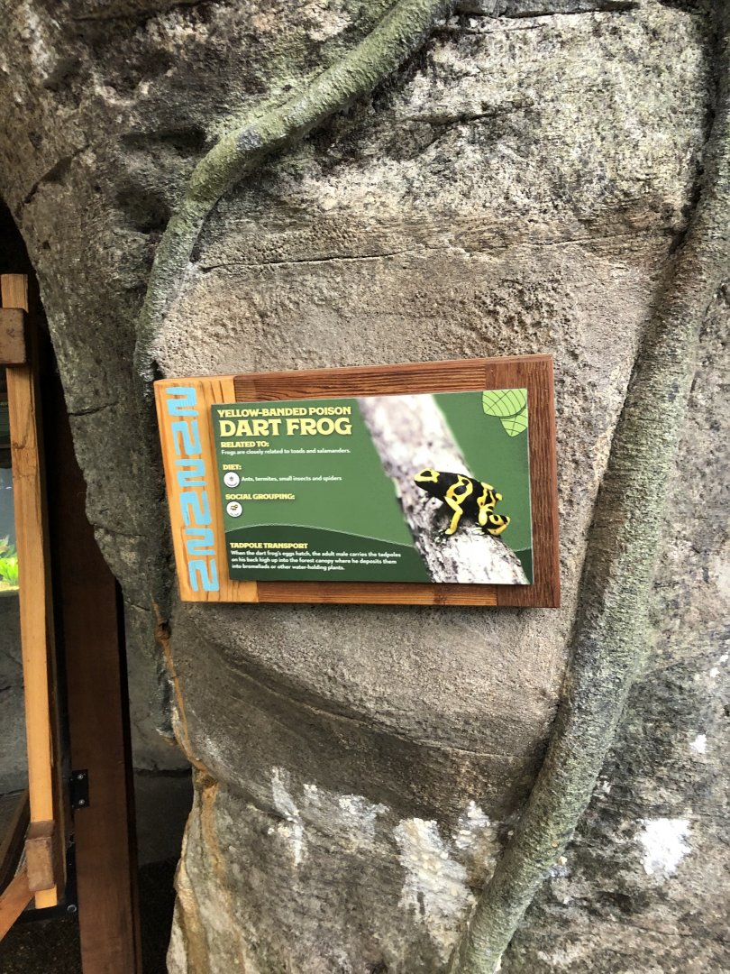 Yellow-Banded Poison Dart Frog Sign - Feb, 2020