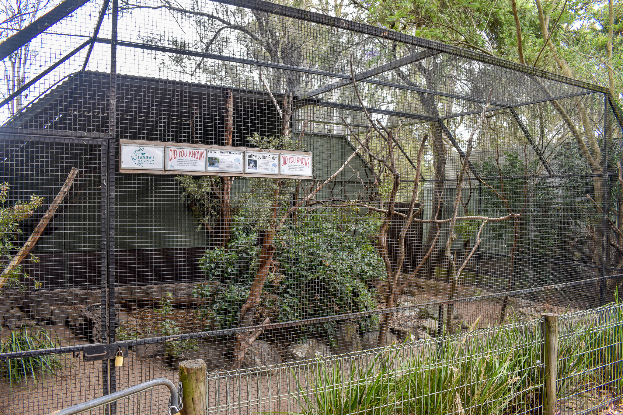 Yellow-bellied Glider/Bandicoot Enclosure
