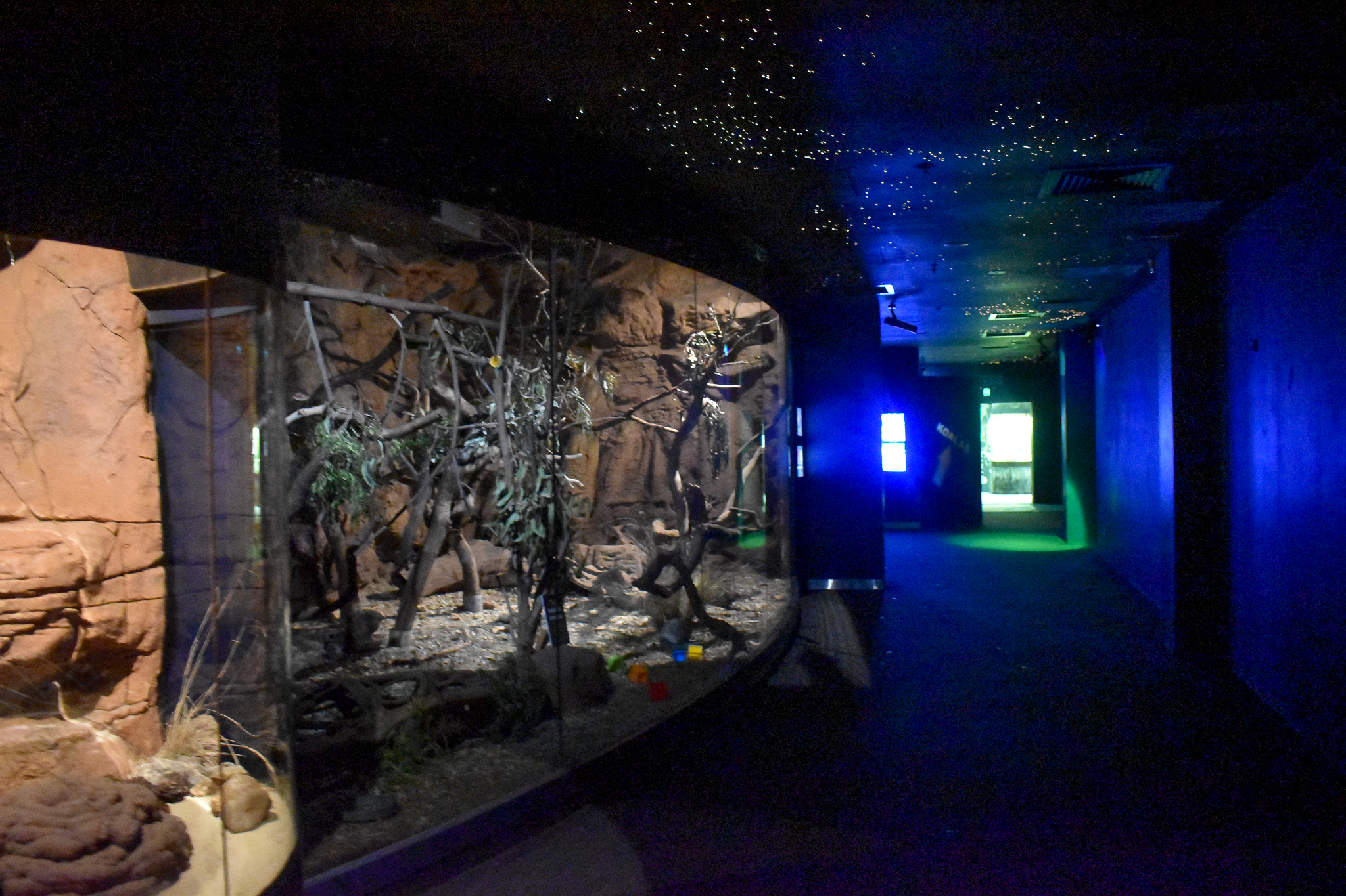 Yellow-bellied Glider/Rufous Bettong Enclosure