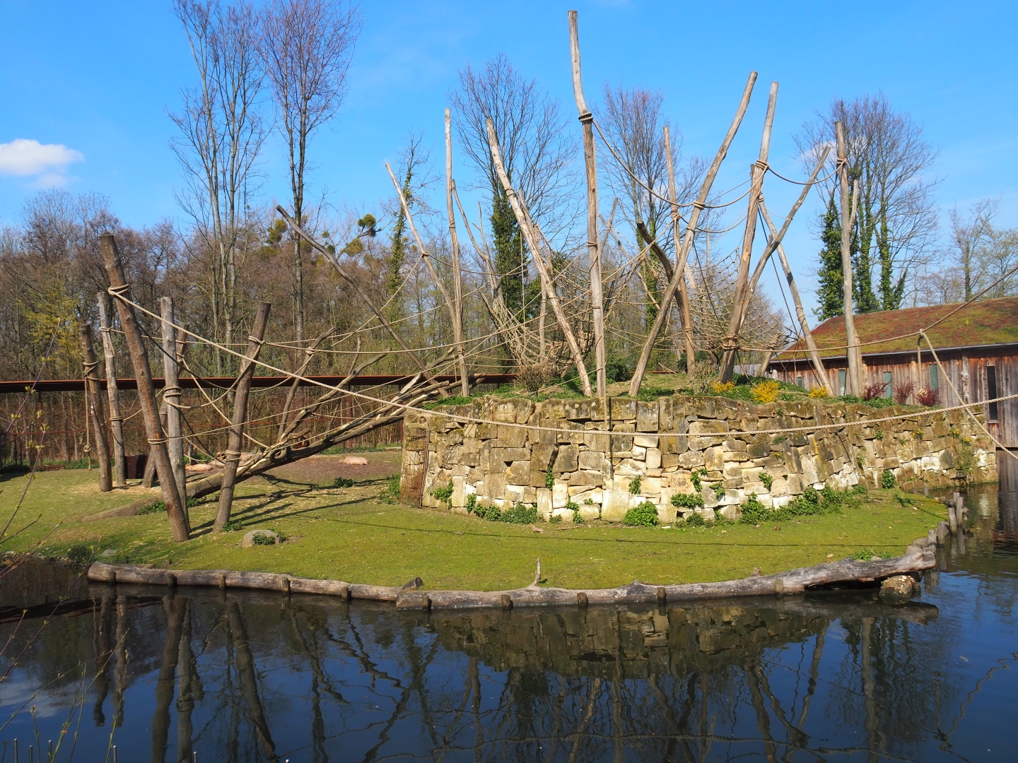 Yellow-breasted capuchin and capybara exhibit, 2019-03-30