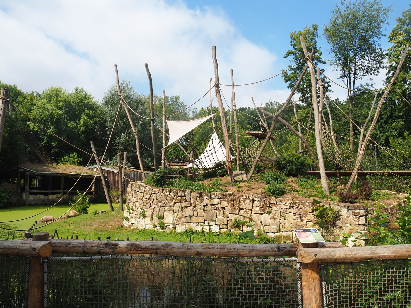 Yellow-breasted capuchin and capybara exhibit, 2022-08-20