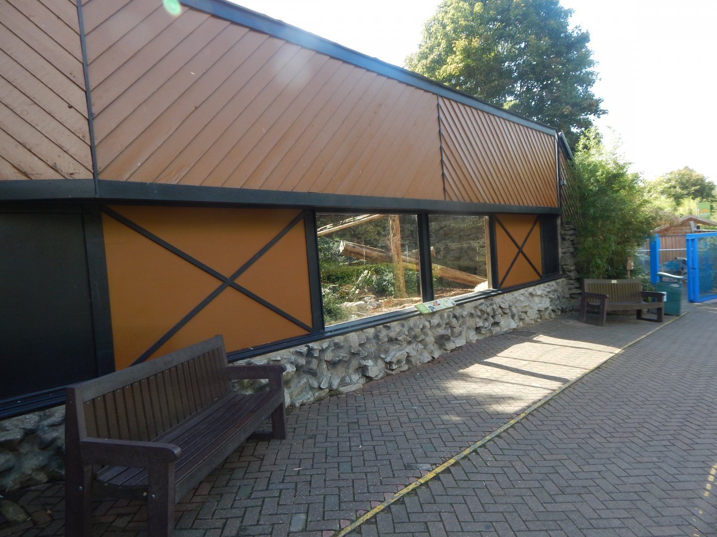 Yellow-breasted capuchin enclosure 110925