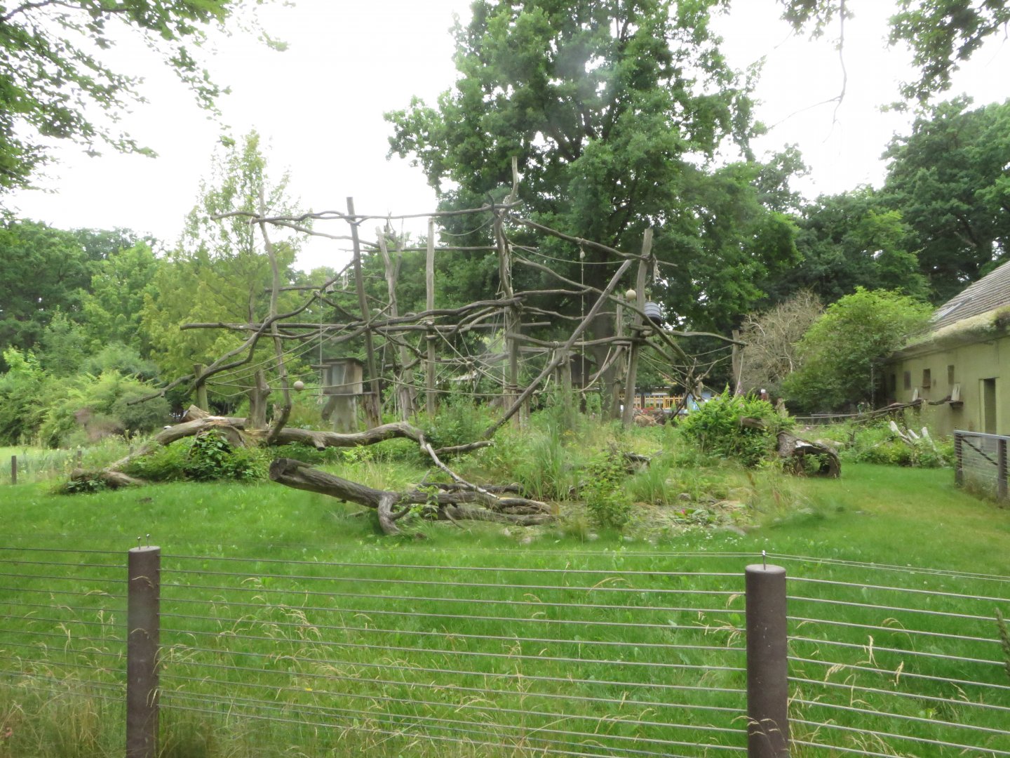 Yellow-breasted Capuchin enclosure