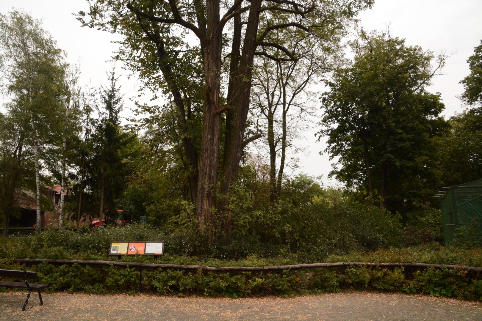 Yellow-breasted Capuchin enclosure
