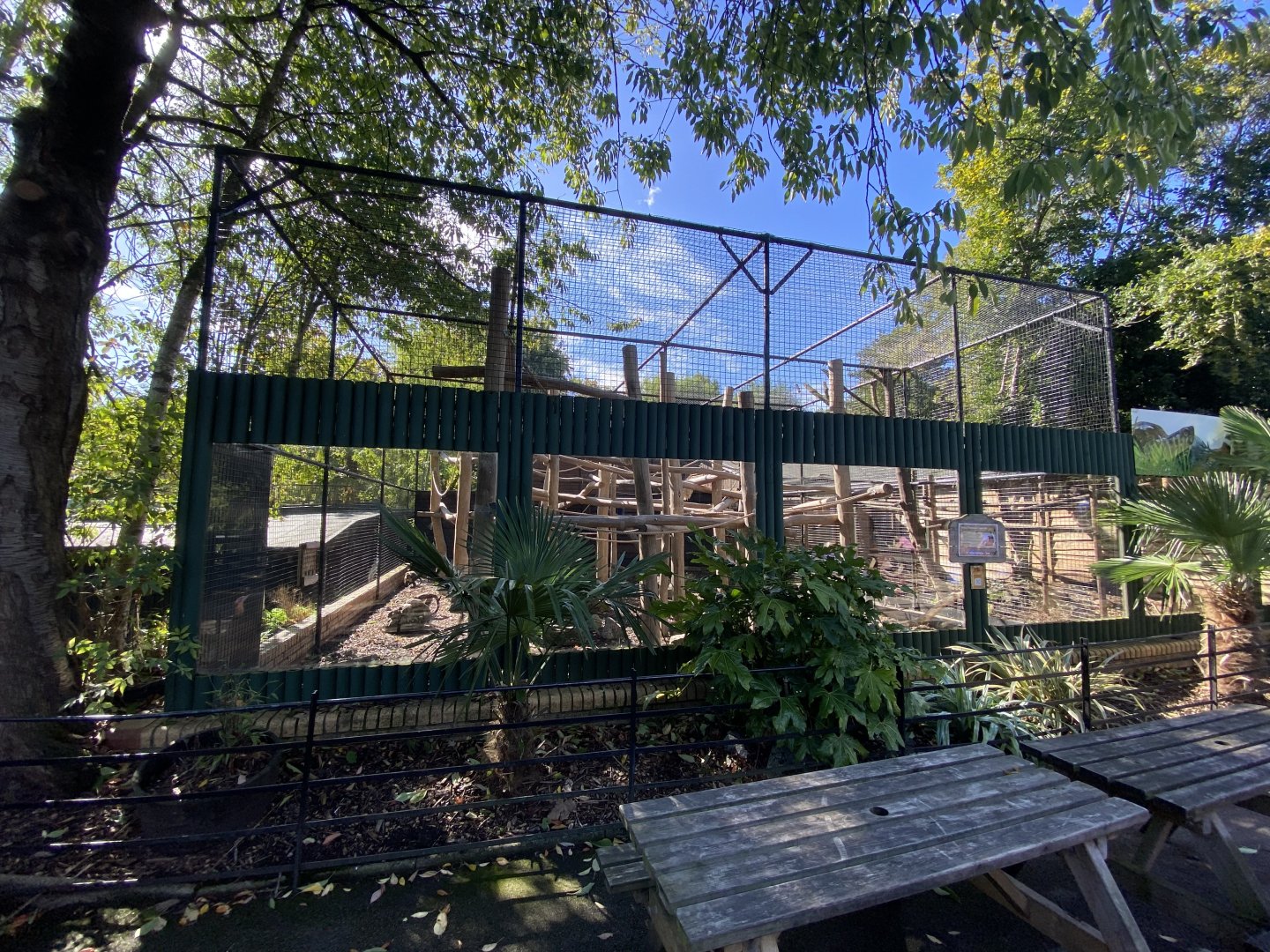Yellow-breasted capuchin enclosure