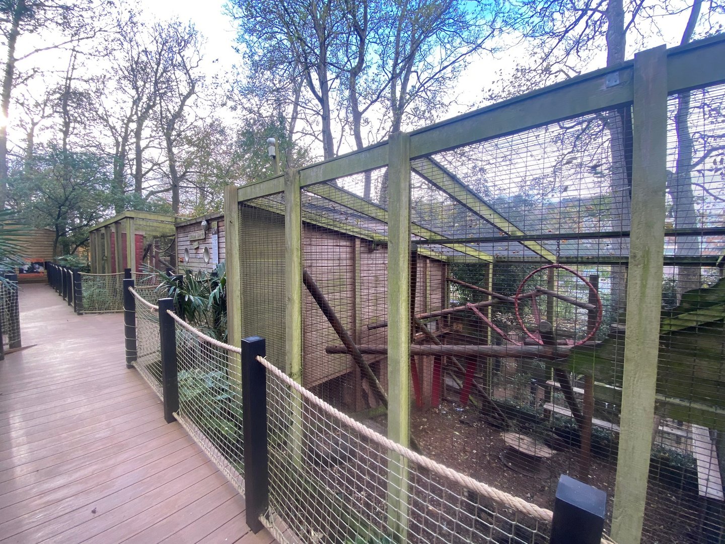 Yellow-breasted capuchin enclosures 111222