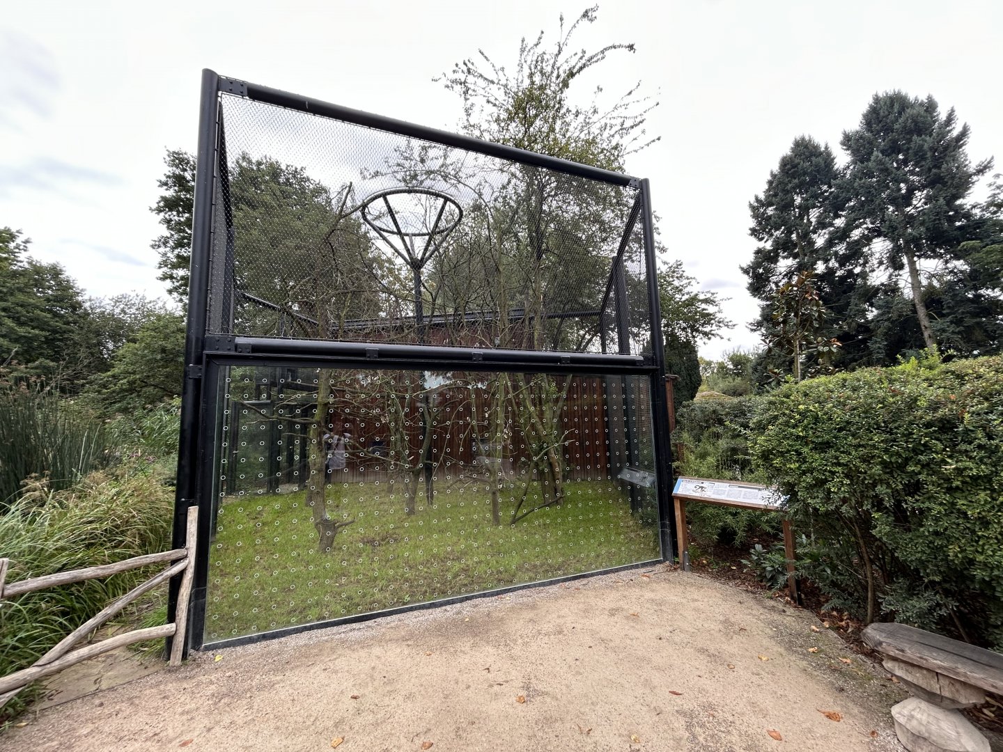 Yellow-breasted Capuchin Exhibit #1