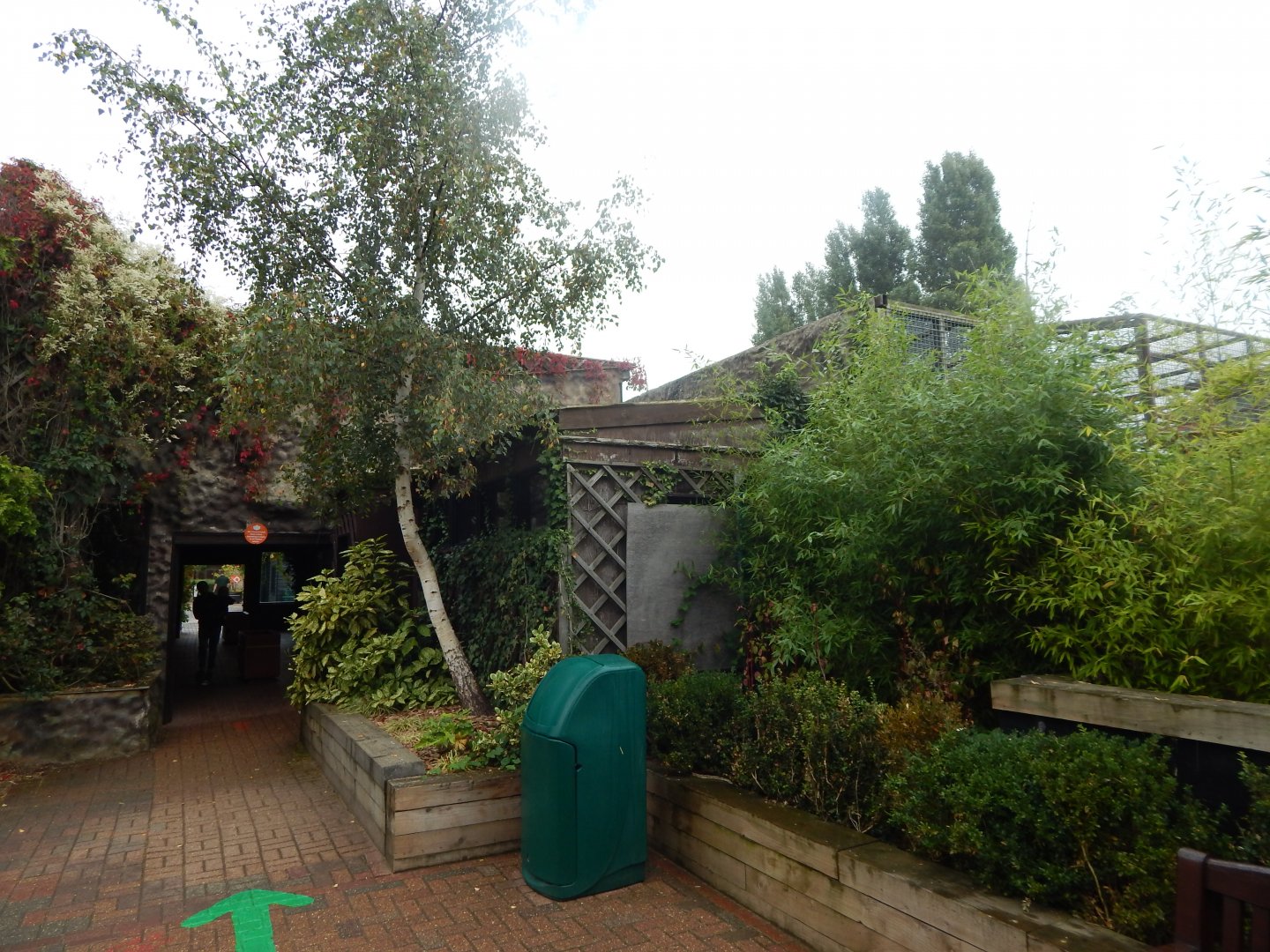 Yellow-breasted capuchin exhibit 140921