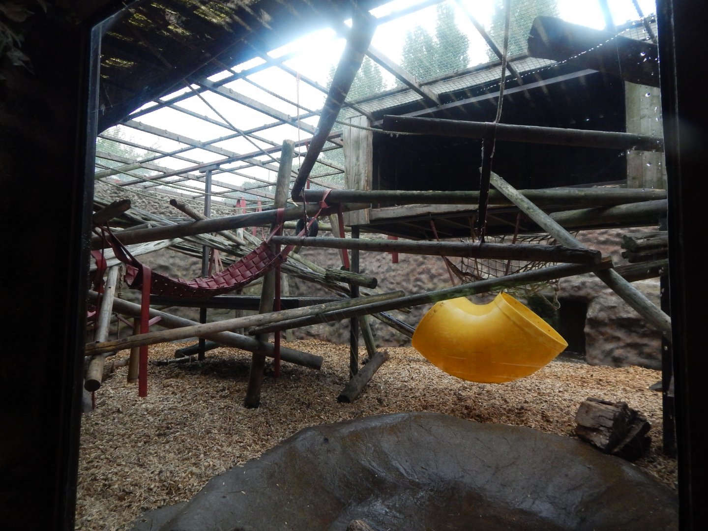 Yellow-breasted capuchin exhibit 140921