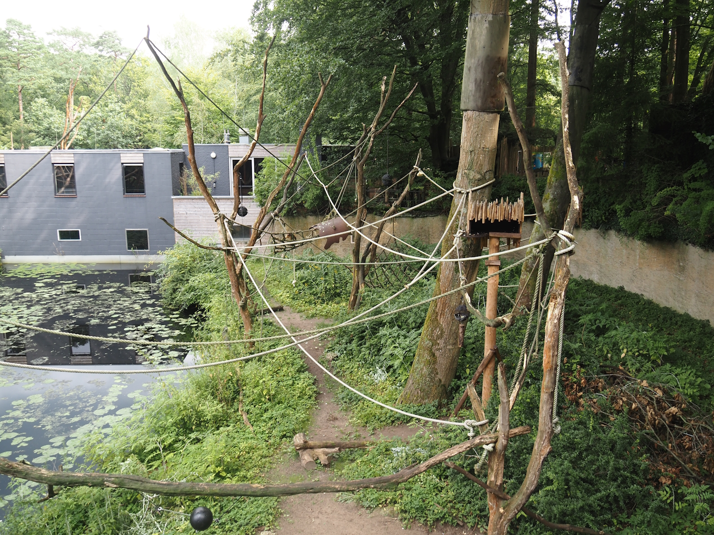 Yellow-breasted capuchin exhibit, 2024-08-18
