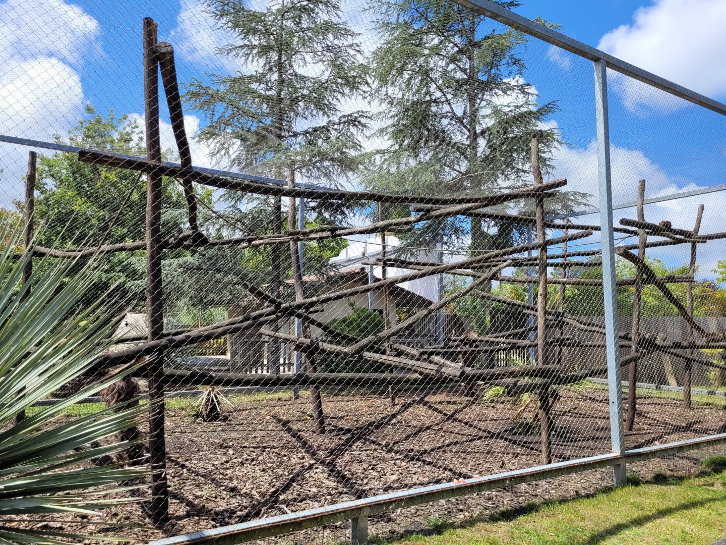 Yellow-breasted capuchin exhibit -Zoo du bassin d'Arcachon (2024)