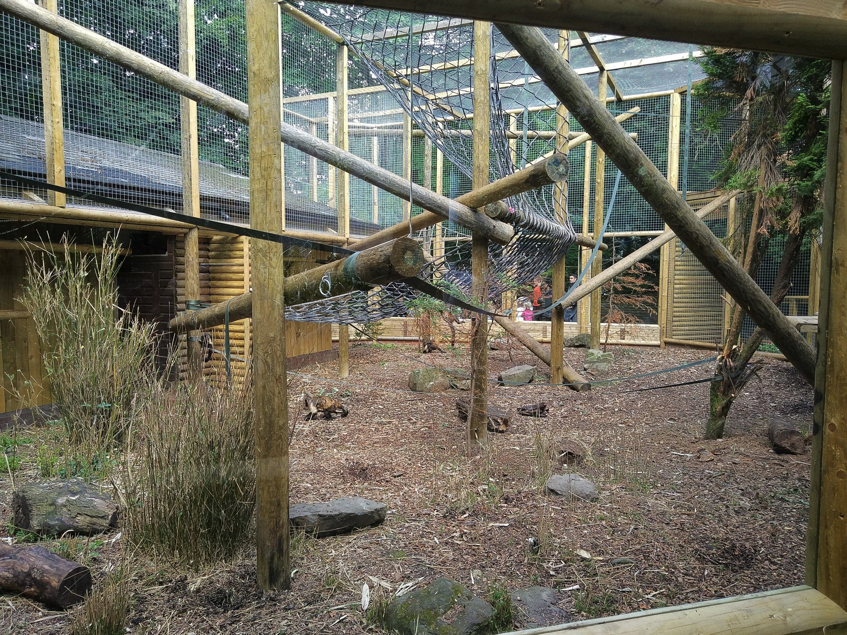 Yellow-breasted Capuchin exhibit